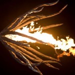 06fireflower_NickMartin