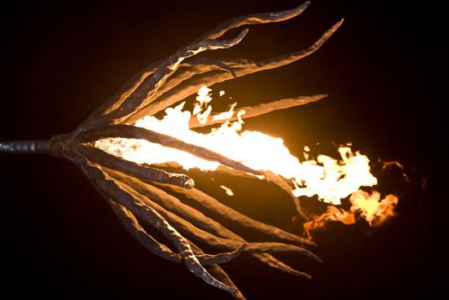 06fireflower_NickMartin