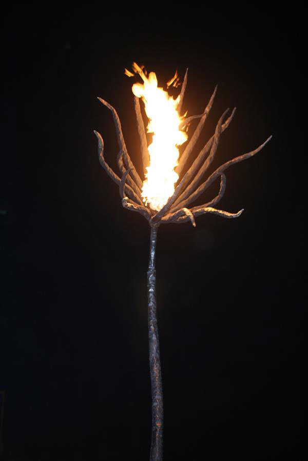 13fireflower_BrandiMandato