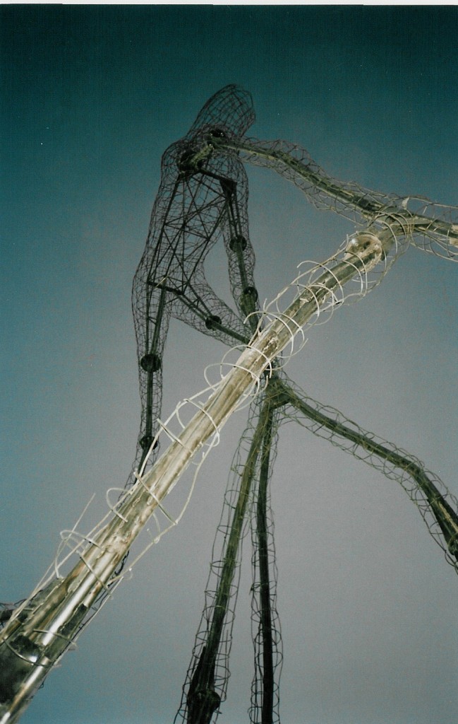 7flock_outlined underbody