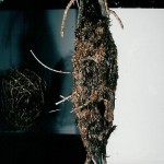 body tomb