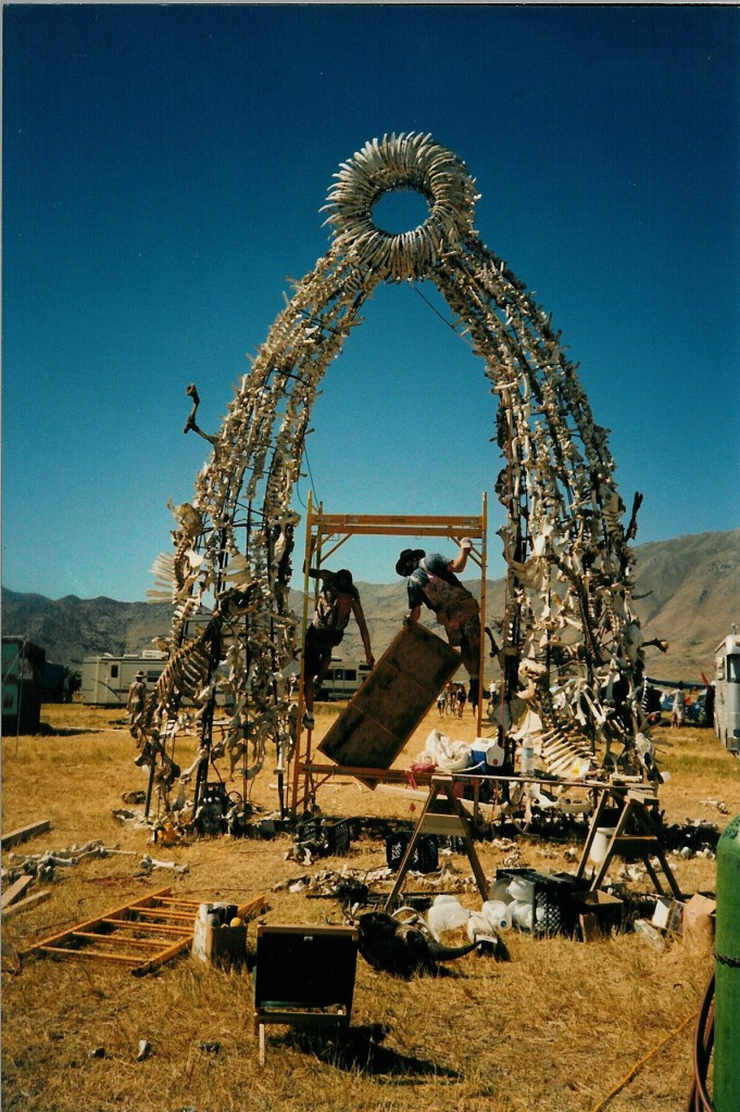 bone arch const