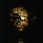 cell -no.0