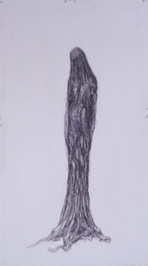 figure shroud