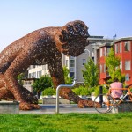 koilos in sf