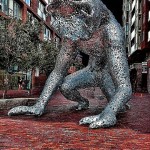 koilos_suzanne williams