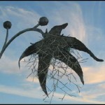 plant04b