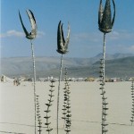 plantsbm2