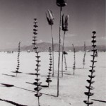 pods and reeds