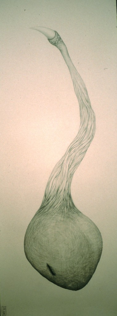 pointed breast copy