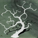 tree stage 002